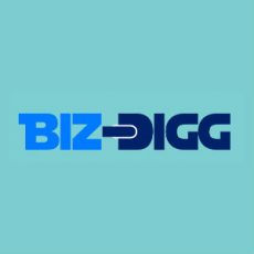 Bizdigg