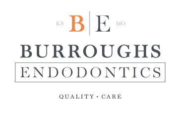 Burroughs Endodontics