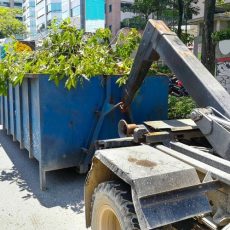 Davie Dumpster Rental