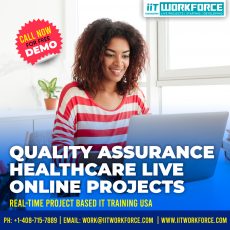 QA Real-time Project Workshop experience on Healthcare Domain by IIT Workforce