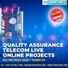 QA Real-time Project Workshop on Telecom Domain by IIT Workforce