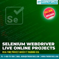 Selenium Real-time Project Workshop experience by iiT Workforce