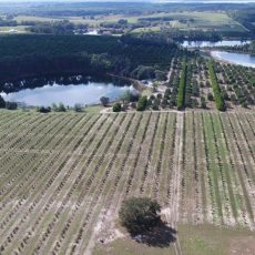 Florida Hunting Land For Sale