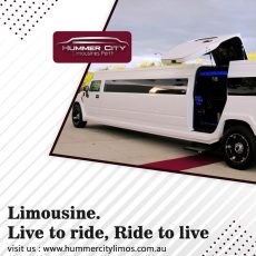 Hummercity Limousines