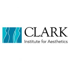 Clark Aesthetics