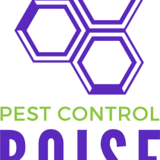 Pest Control Boise