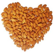 China Beans Manufacturers and Suppliers - B2BAgriculture