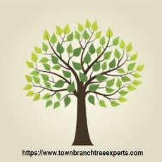 Central Kentucky Tree Service