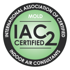 Mold Inspection911