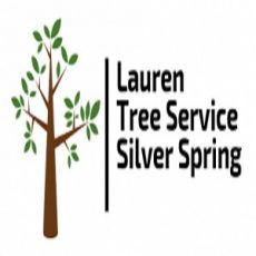 Lauren Tree Service Silver Spring