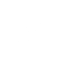 Dallas Floor Removal Machine Rental