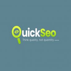 Quick SEO Help
