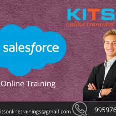 SALESFORCE ONLINE TRAINING|SALESFORCE ONLINE COURSES