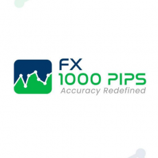 best broker forex | best forex treading advisor