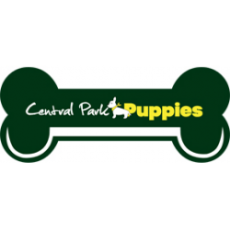 Puppies for Sale NY USA - Central Park Puppies