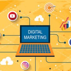 Digital Marketing Services In Delhi