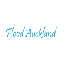 Flood Auckland