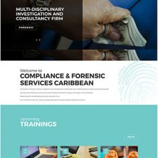 Saurabh Sharma - Web Design in India