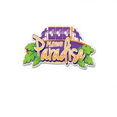 Players Paradise Arcade
