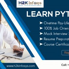Job Oriented online Python Training