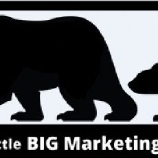 Little Big Marketing