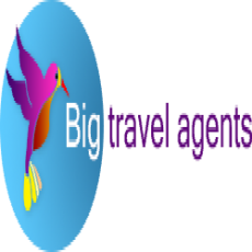 Big travel agents