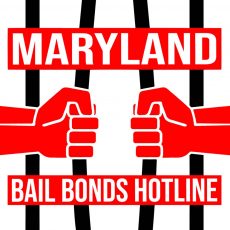 Maryland Bail Bonds Hotline