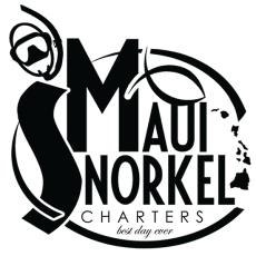 Maui Snorkel Charters