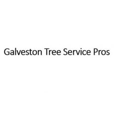 Galveston Tree Service Pros