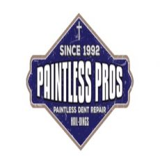 Paintless Pro Dent