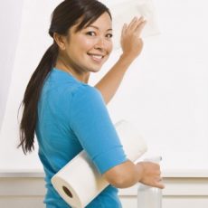 Residential Cleaning Lone Tree CO-Miracle Maids