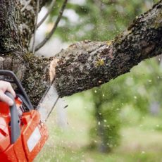 Landscaping Installation Lilburn GA-Cristians Quality Lawn Care Services