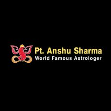 Best World Famous Astrologer |  Astrologer Anshu Sharma