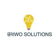 IBM TRIRIGA TRAINING BY BRIWO SOLUTIONS PVT LTD