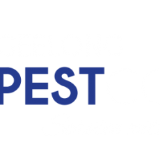 Peter's Glazing Service