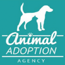 Animal Adoption Agency
