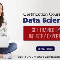 Data Science Certification Online Course