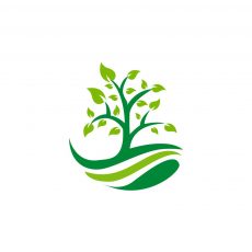 Plano Landscaping Company