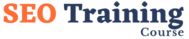 SEO Company India