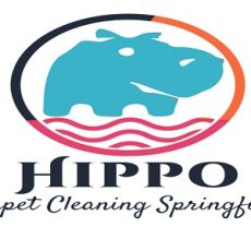 Hippo Carpet Cleaning Springfield