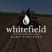 Whitefield hemp