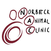 Norbeck Animal Clinic