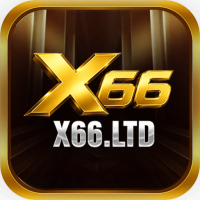 x66ltd