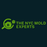The NYC Mold Experts
