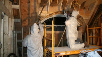 Brampton Mold Removal