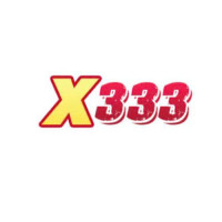 X333