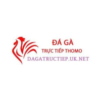 dagatructiepuknet